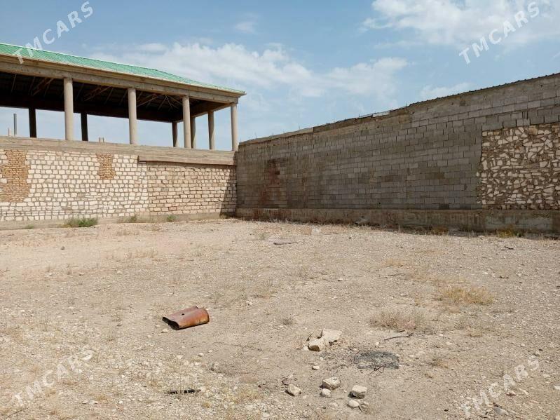 Duzmergen 11 (Jay) - Balkanabat - img 6