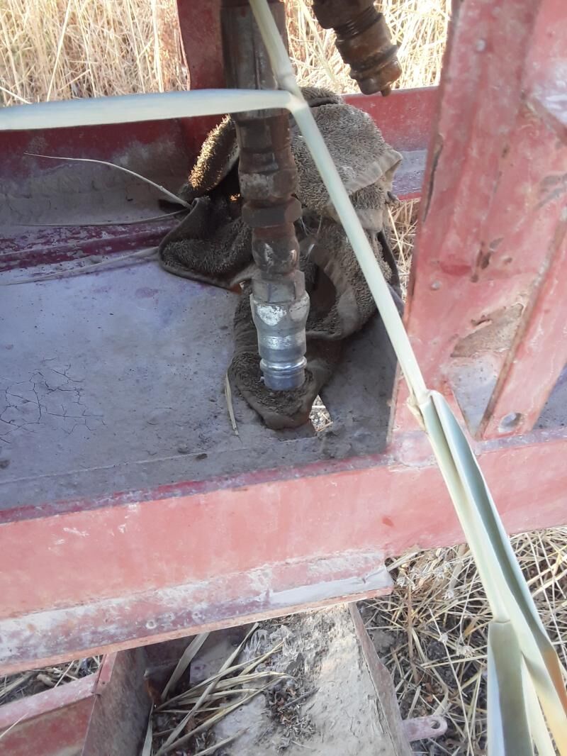 dilnewaz wisga - Mary - img 7