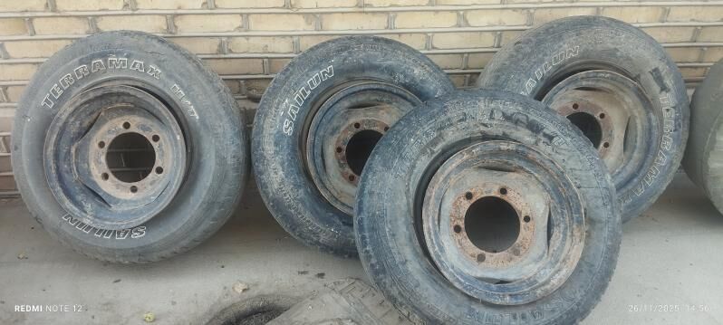 dilnewaz wisga - Mary - img 6