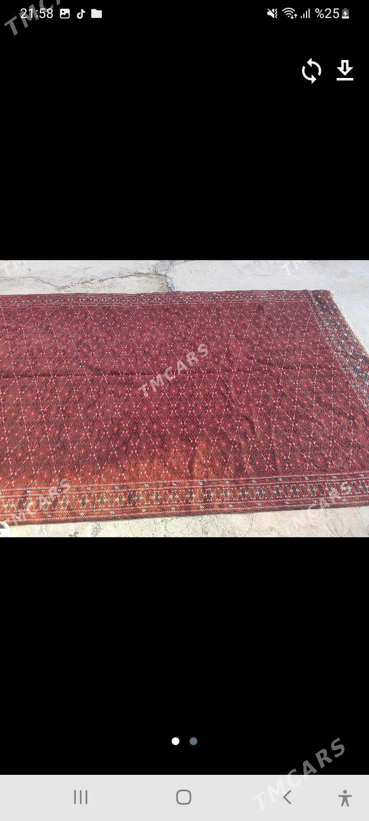 Haly - Гызыларбат - img 3