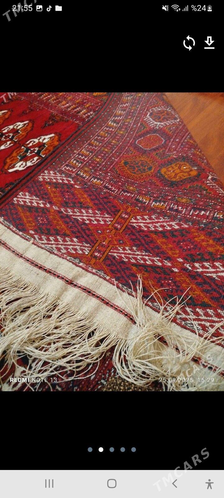 Haly - Гызыларбат - img 2