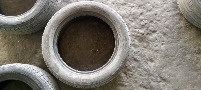 teker 600 TMT - Mary - img 1