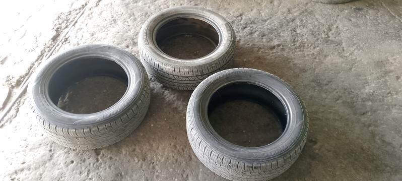 teker 600 TMT - Mary - img 3