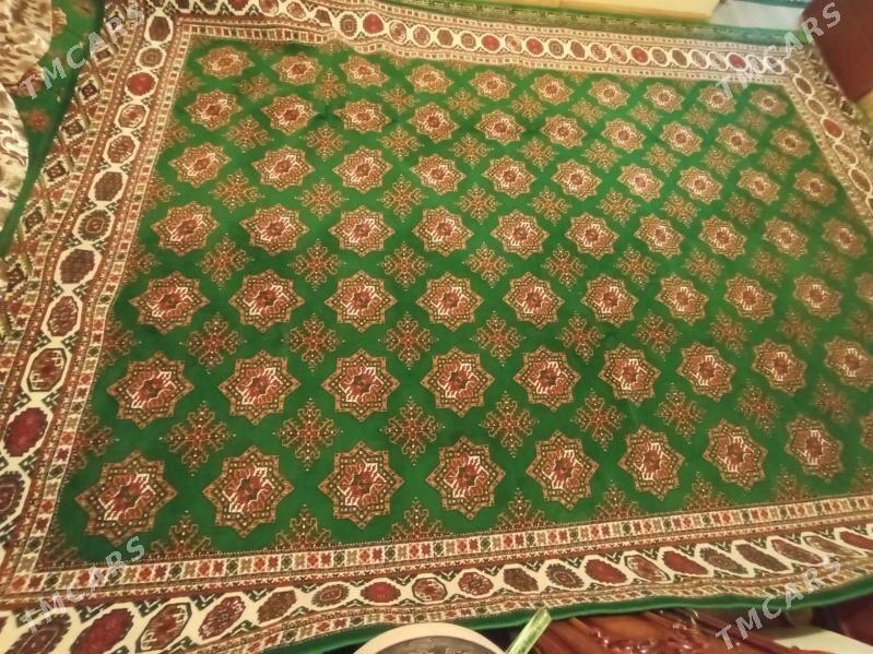 Haly - Карабогаз - img 2