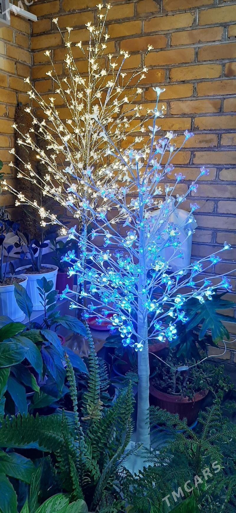 Светодиодные декоративные дере - Туркменабат - img 4
