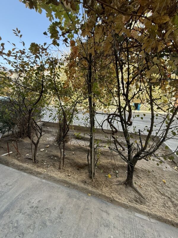 ARZAN 30MKR 2KOM  3/1et - 30 mkr - img 7