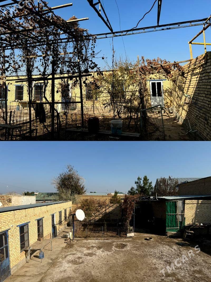 DAÇA - Türkmenabat - img 2