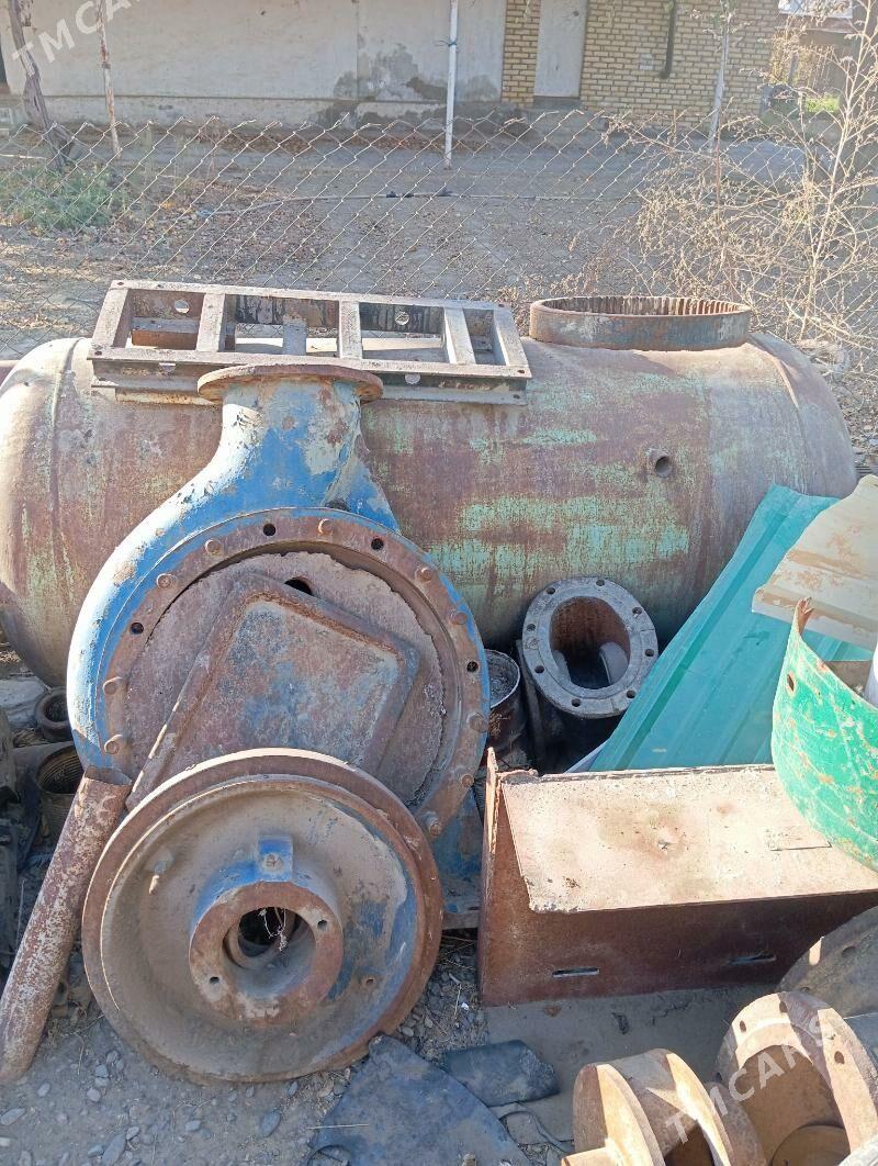 bocka yomkas - Şatlyk - img 3