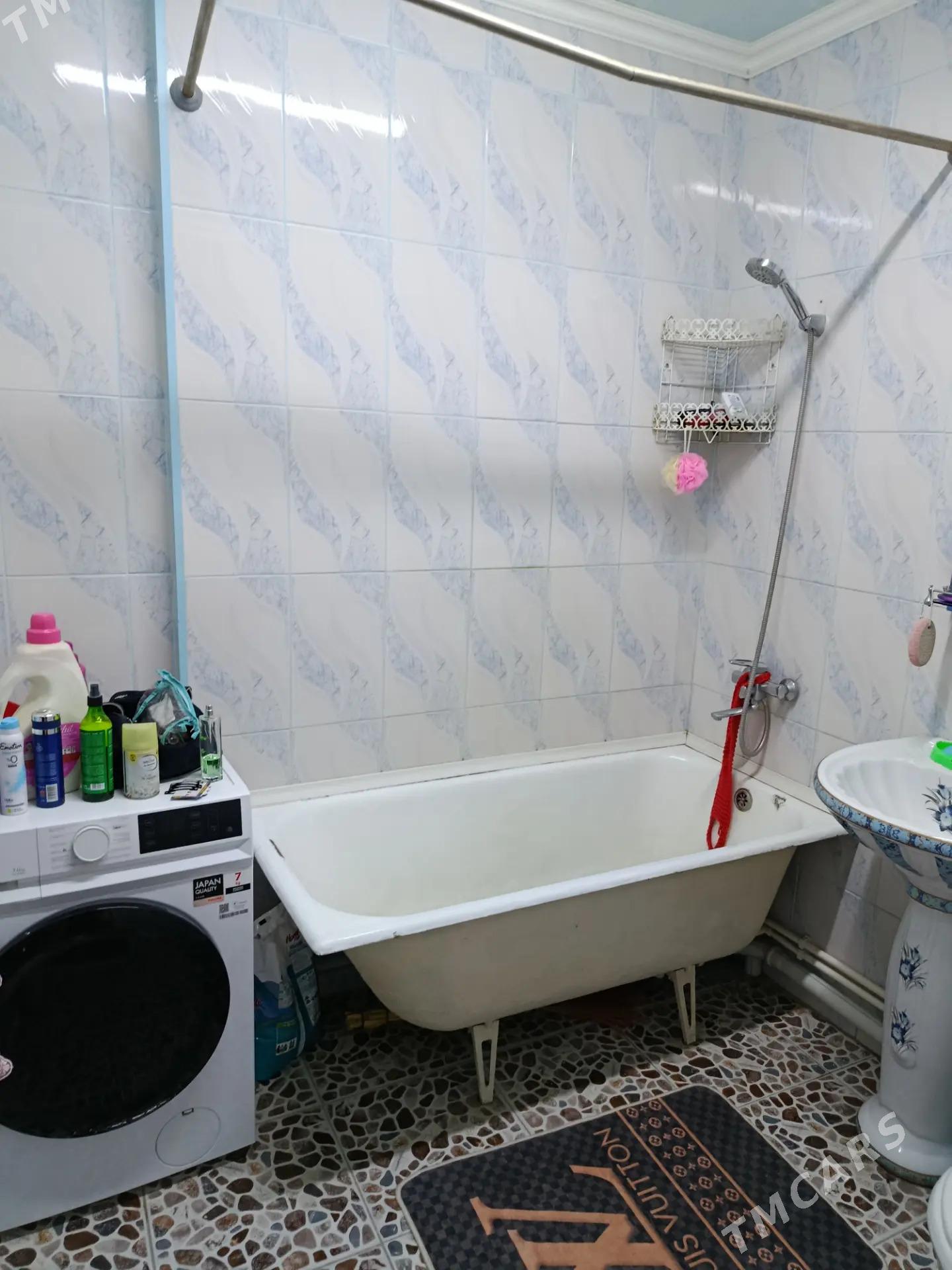 Satlyk jay - Mary - img 9