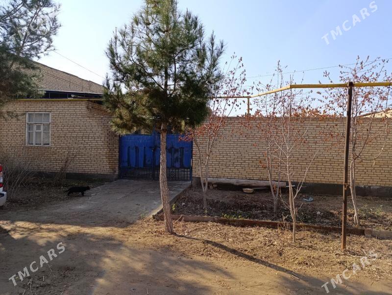 DAÇA - Türkmenabat - img 4