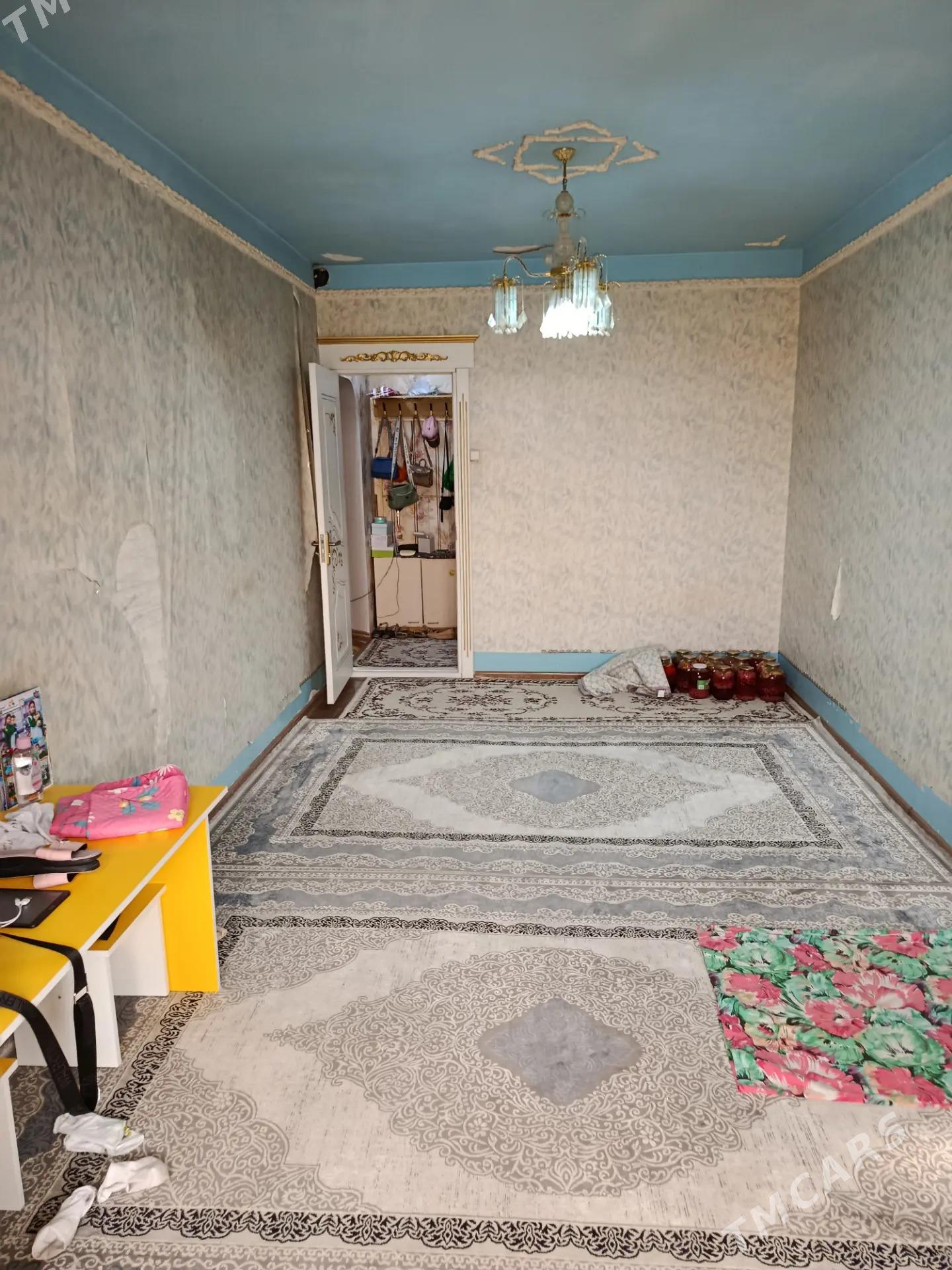 Satlyk jay - Mary - img 4