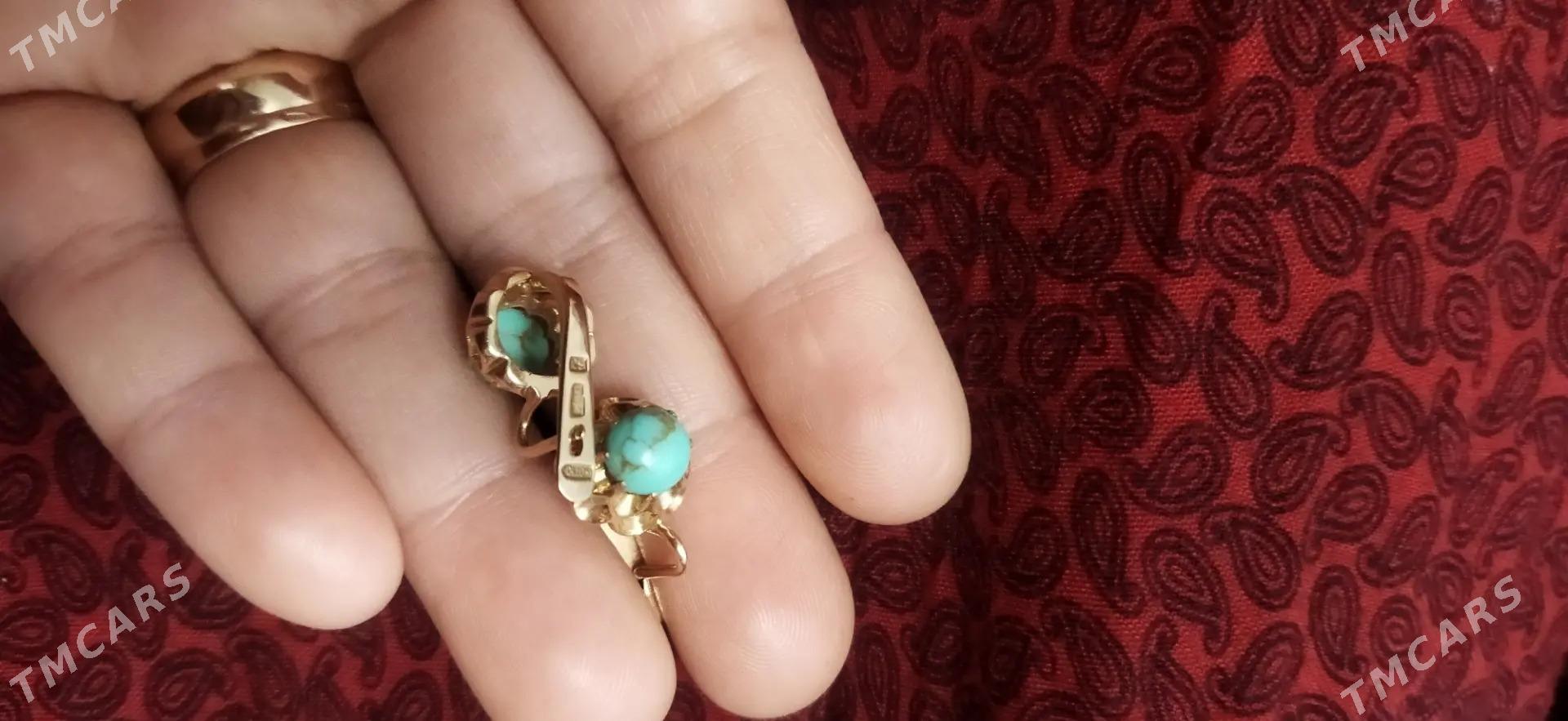 gyzyl gulakhalka - Büzmeýin - img 3