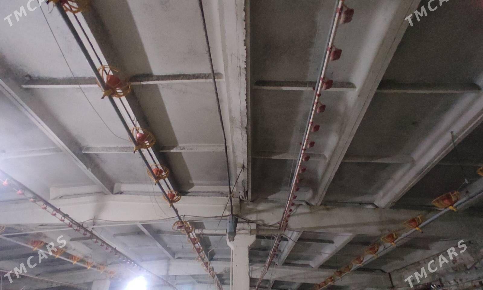 Towgyn iymlik suwluk enjamy - Бузмеин - img 1