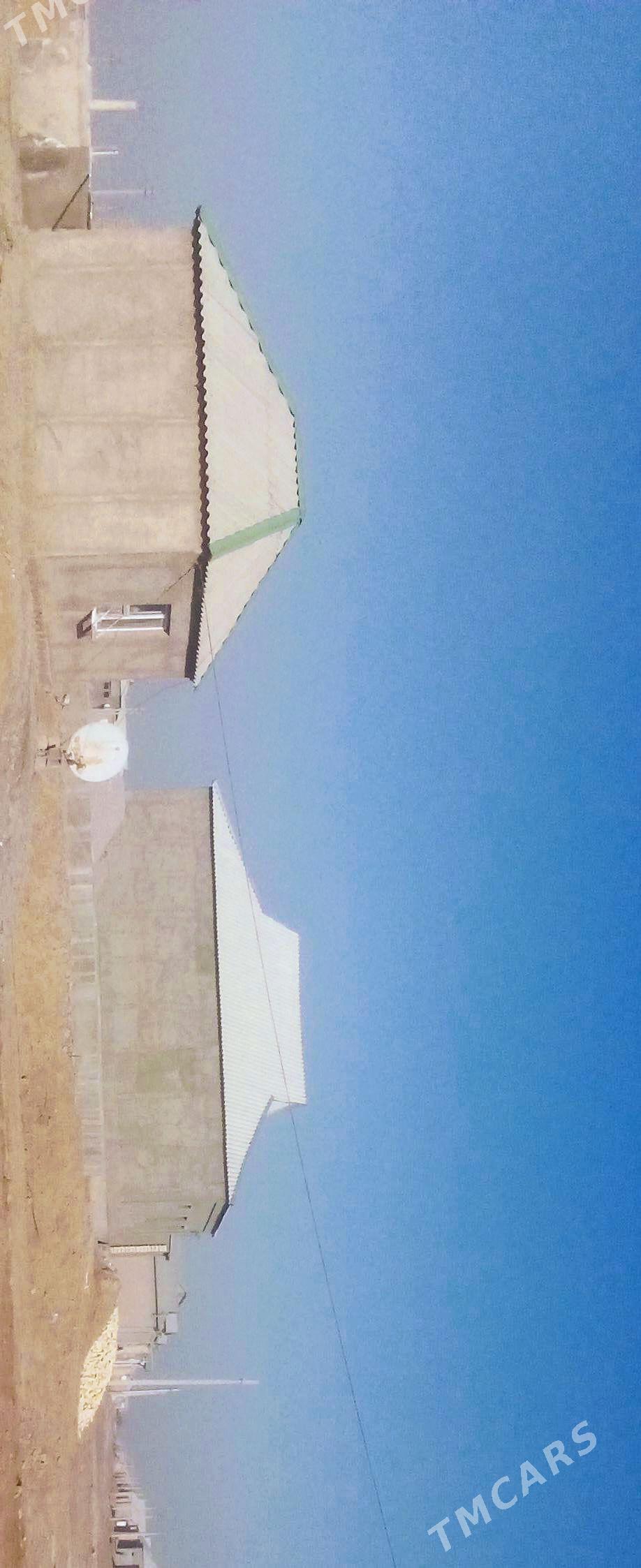 JAY SATLYK TEJEN - Теджен - img 2