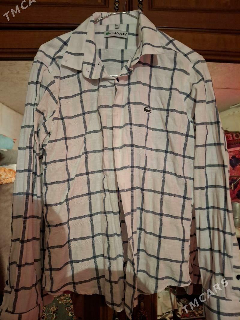 köÿnek - Бекреве - img 1