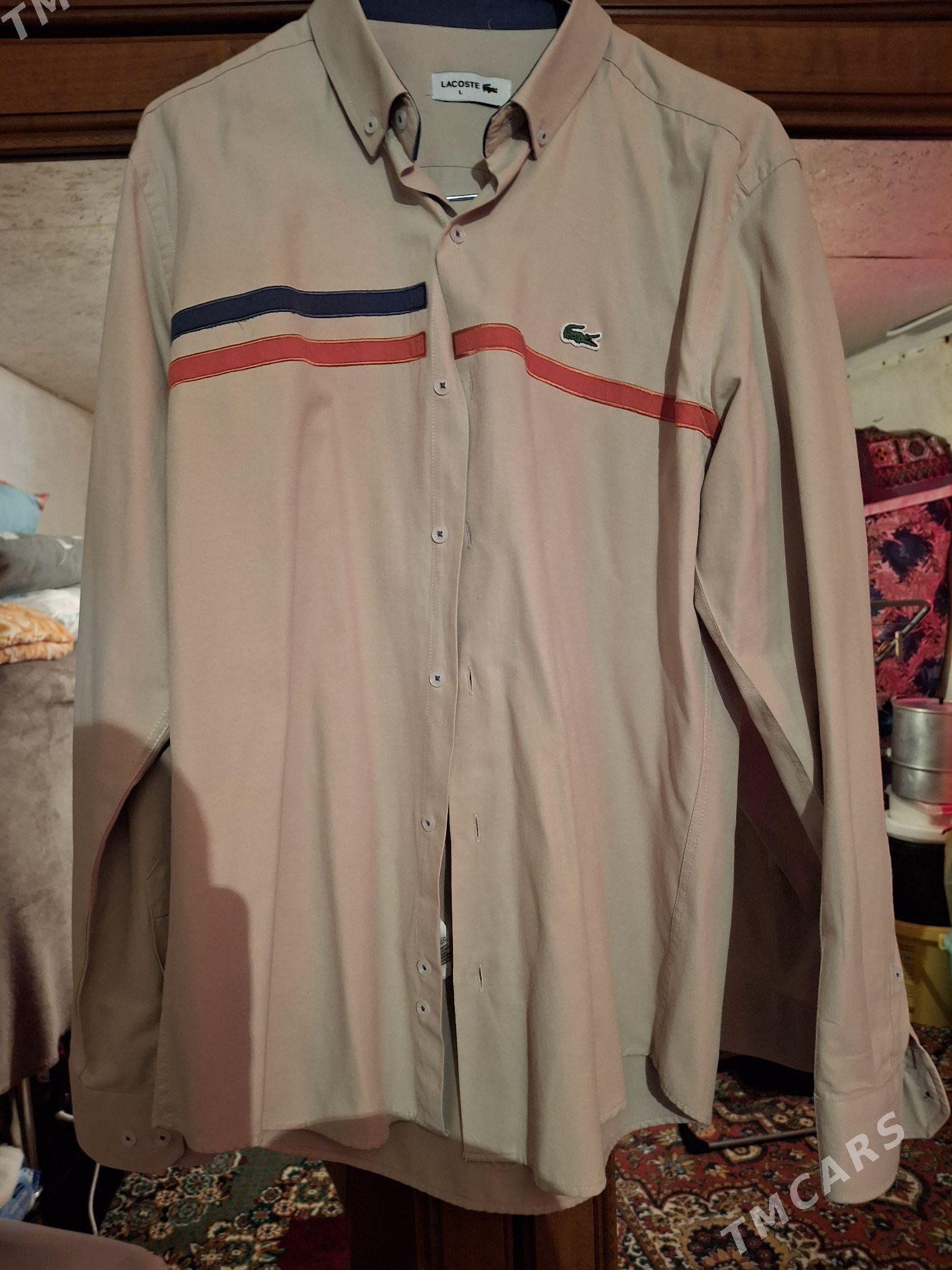 köÿnek - Бекреве - img 3