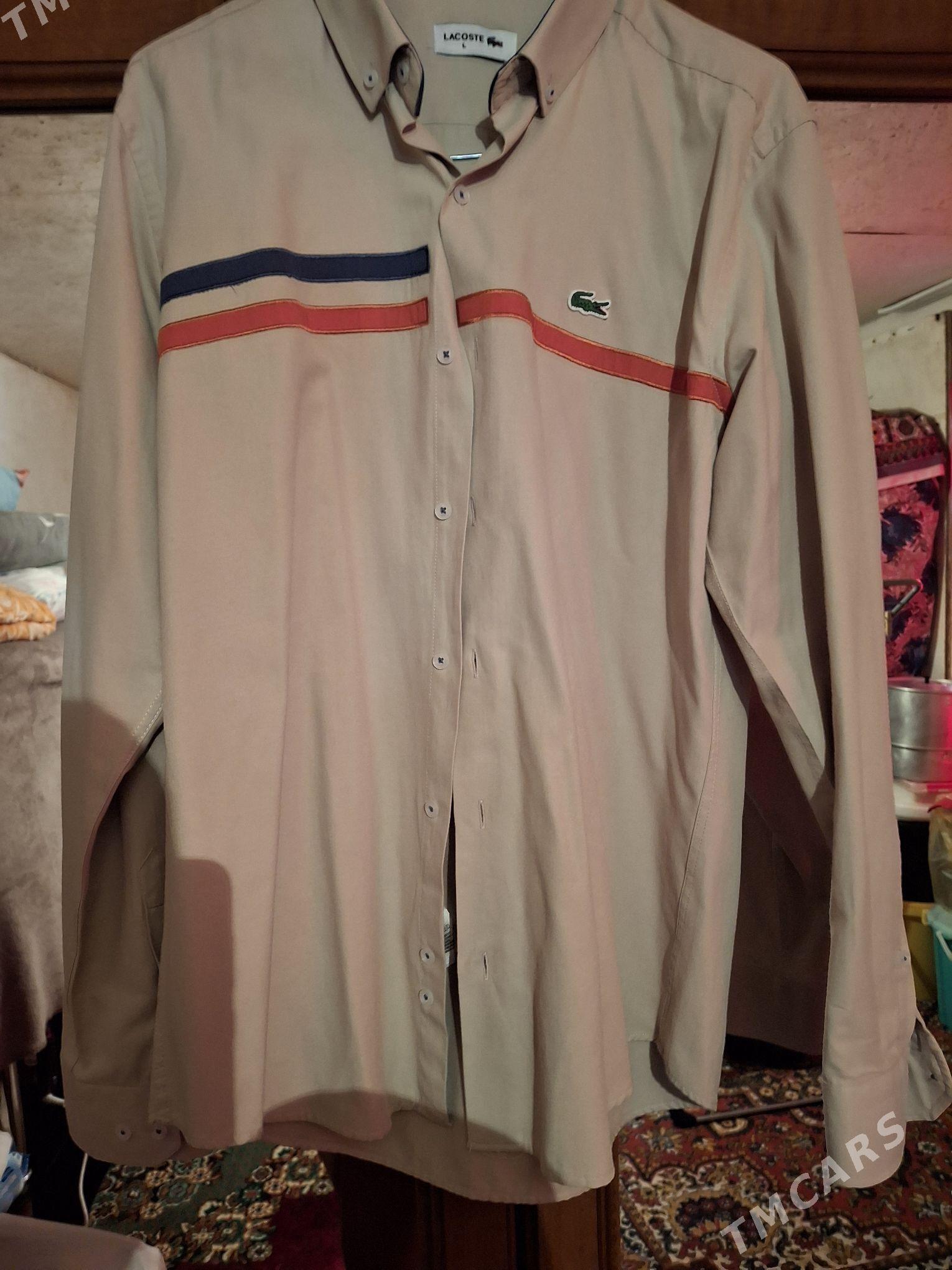 köÿnek - Бекреве - img 4