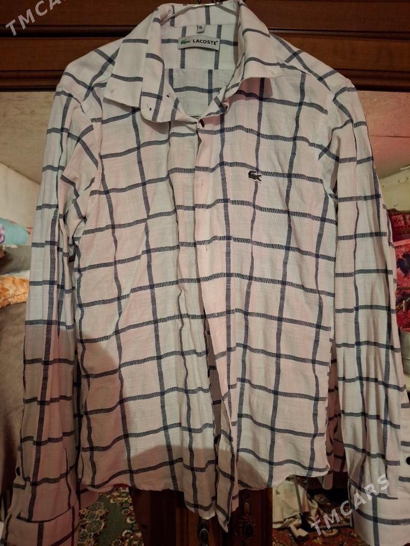 köÿnek - Бекреве - img 2