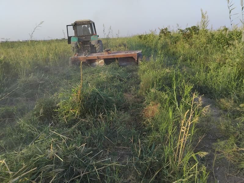 Ot oryan kosilka 60 000 TMT - Ak bugdaý etraby - img 3