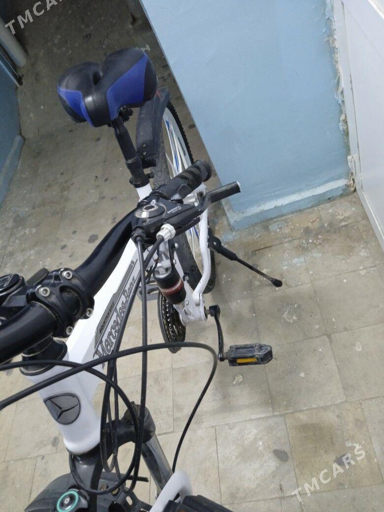 Tigir - 8 mkr - img 3