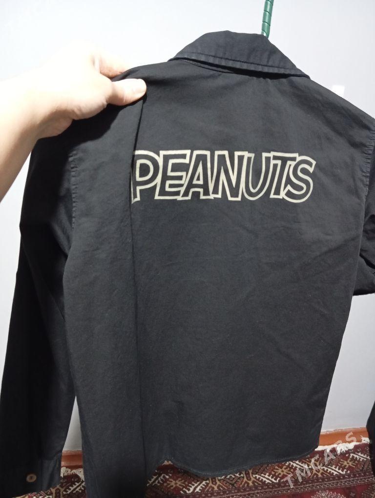 çaga eşik - Туркменабат - img 2