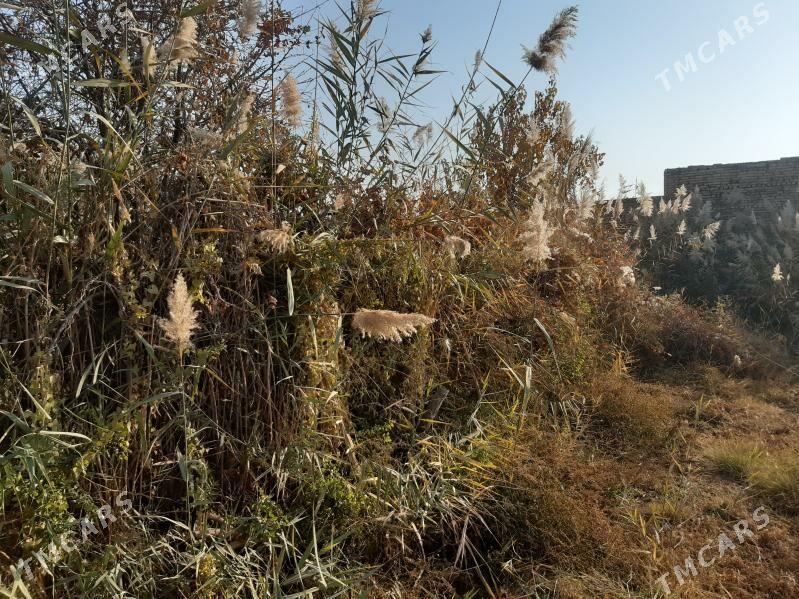 satlyk dacha - Türkmenabat - img 5