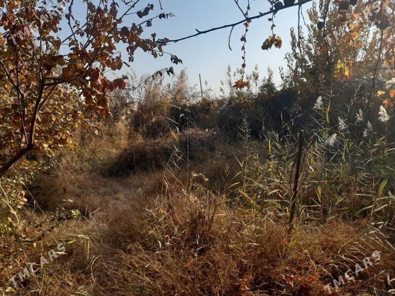 satlyk dacha - Türkmenabat - img 3