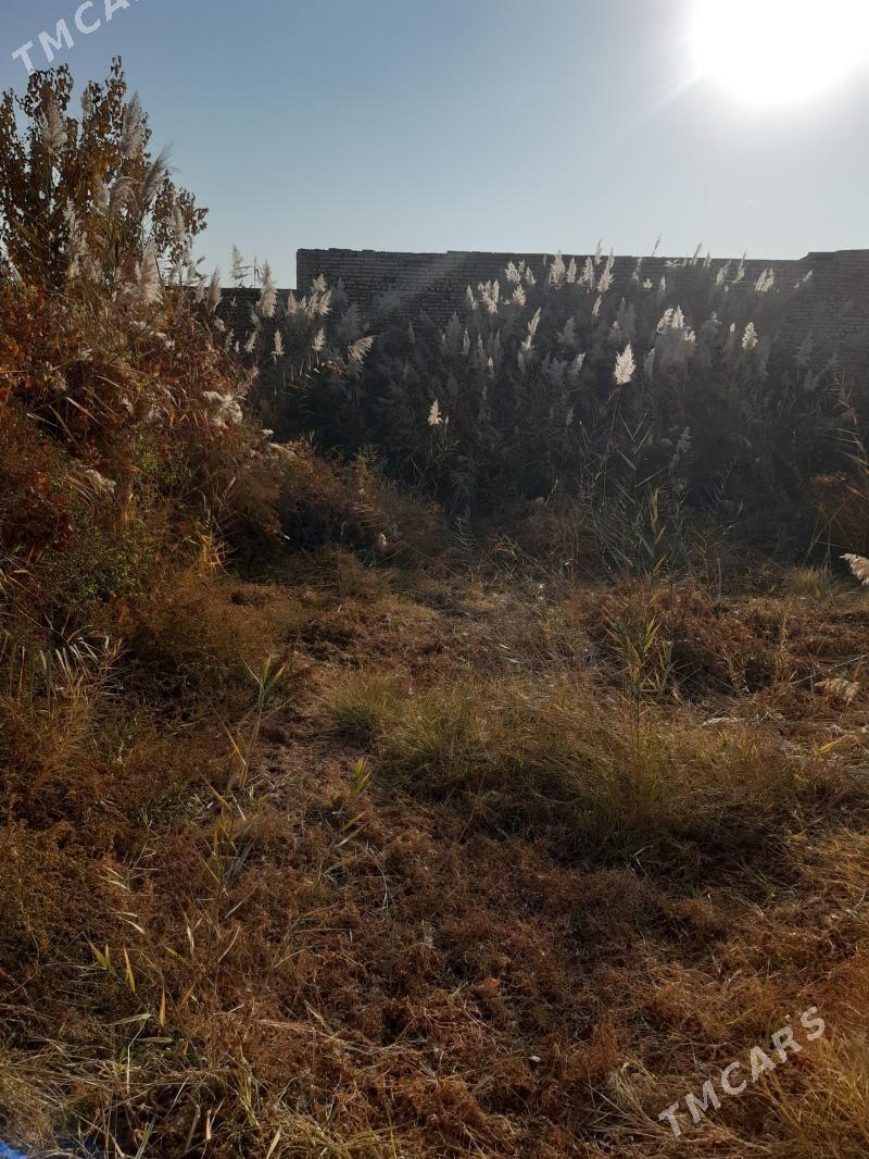 satlyk dacha - Türkmenabat - img 7