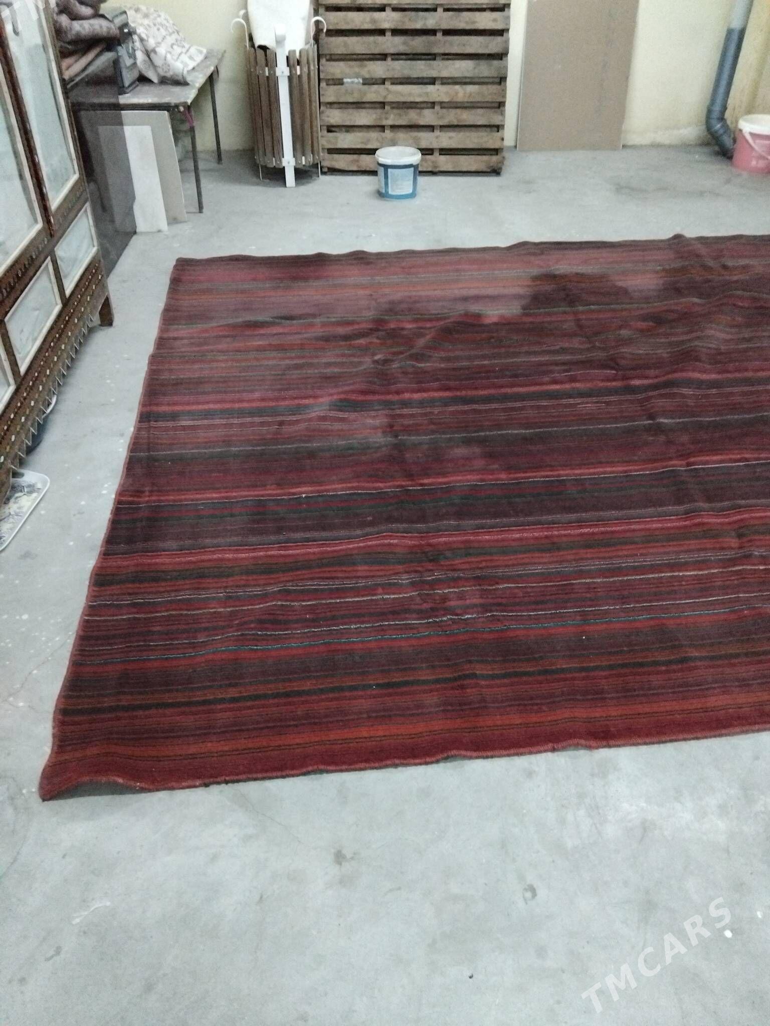 haly - Кëши - img 3