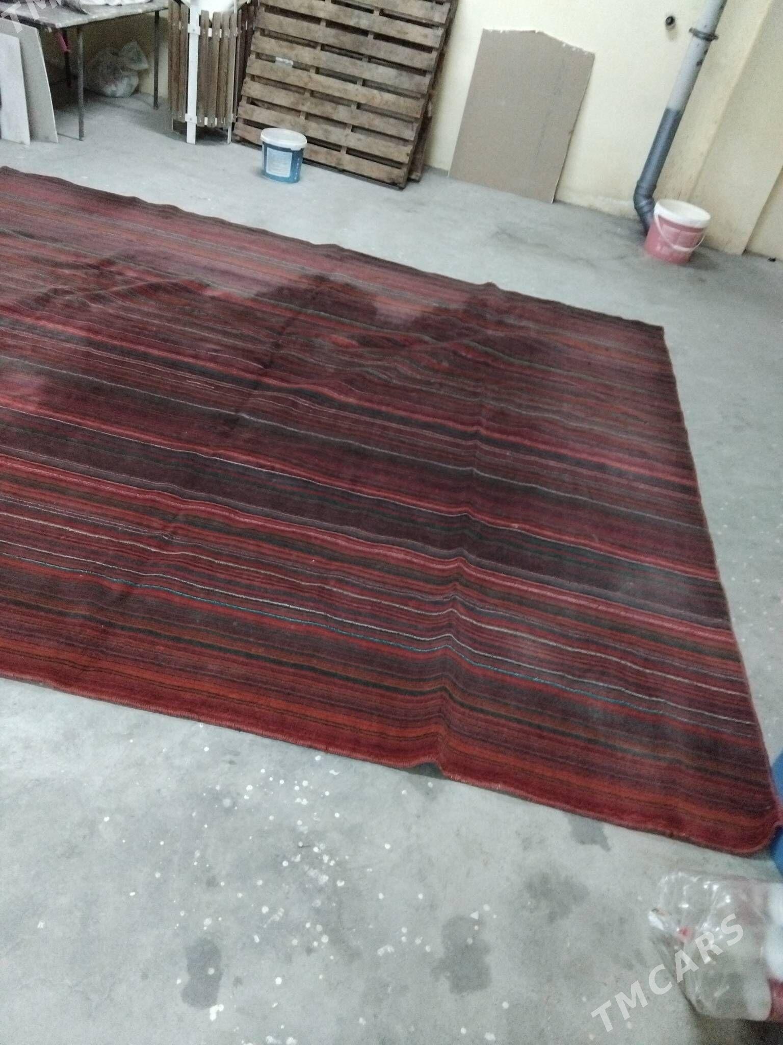 haly - Кëши - img 2