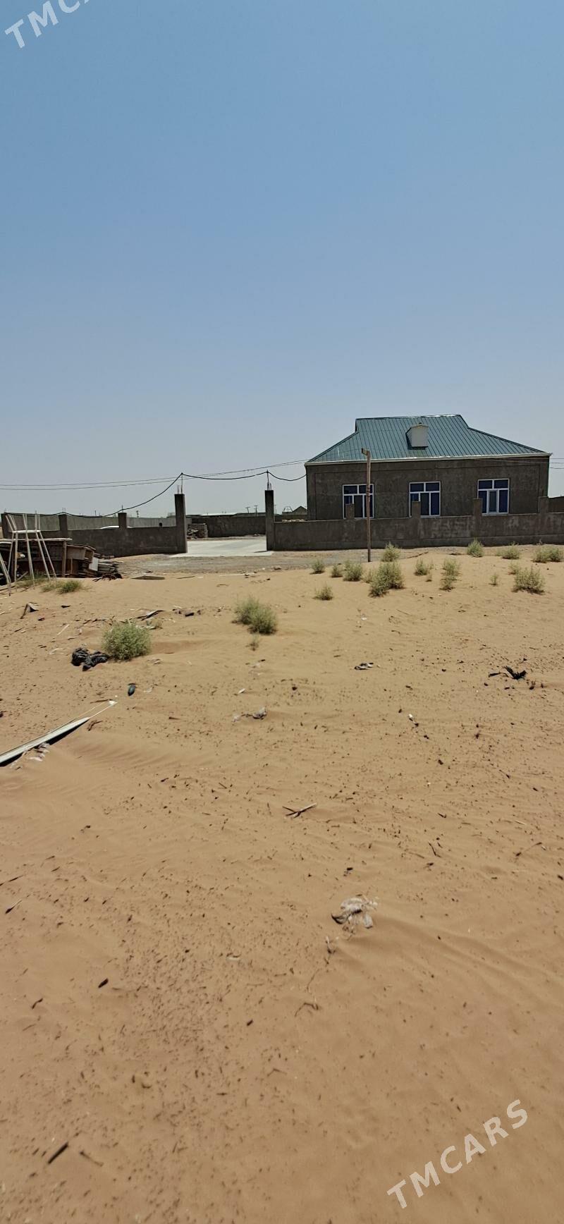 Öñally - Ak bugdaý etraby - img 3