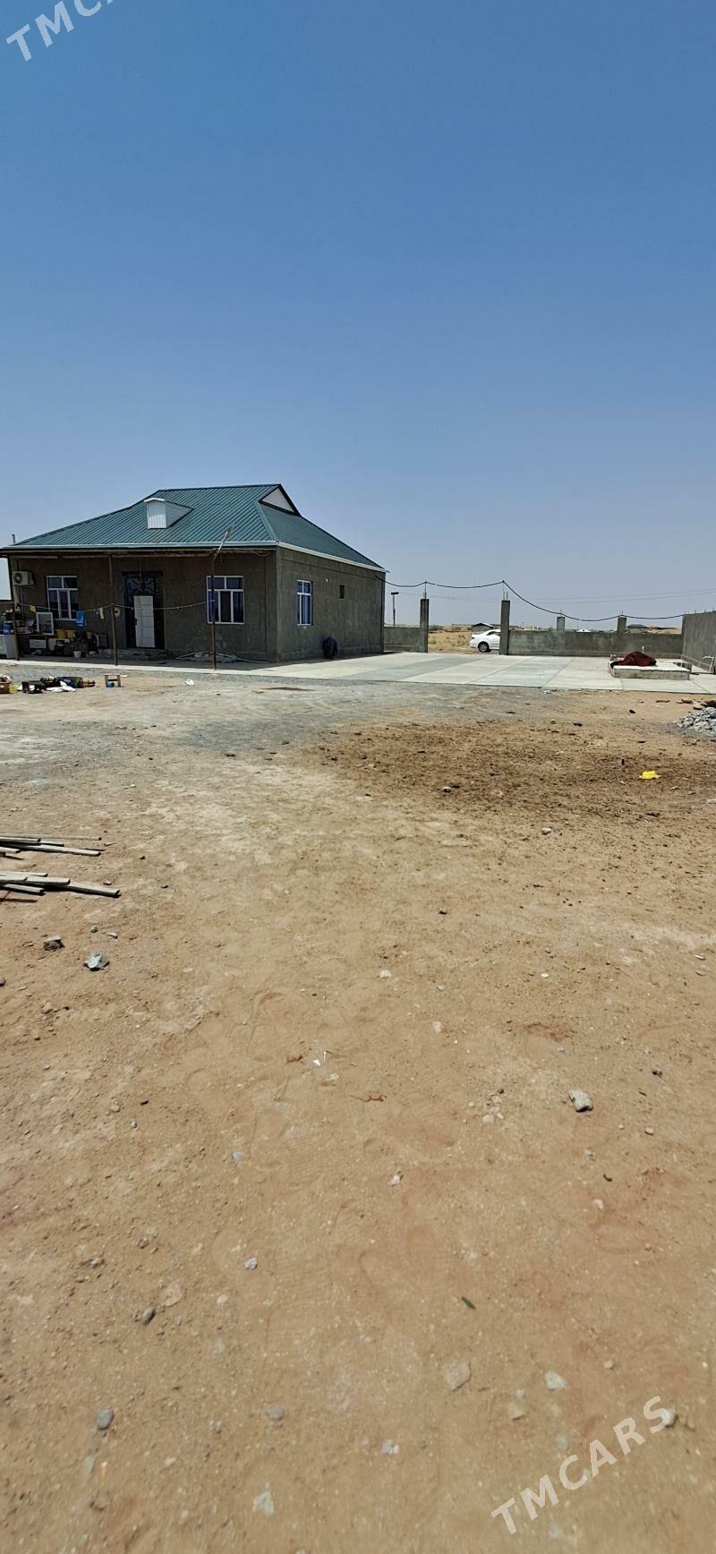 Öñally - Ak bugdaý etraby - img 5