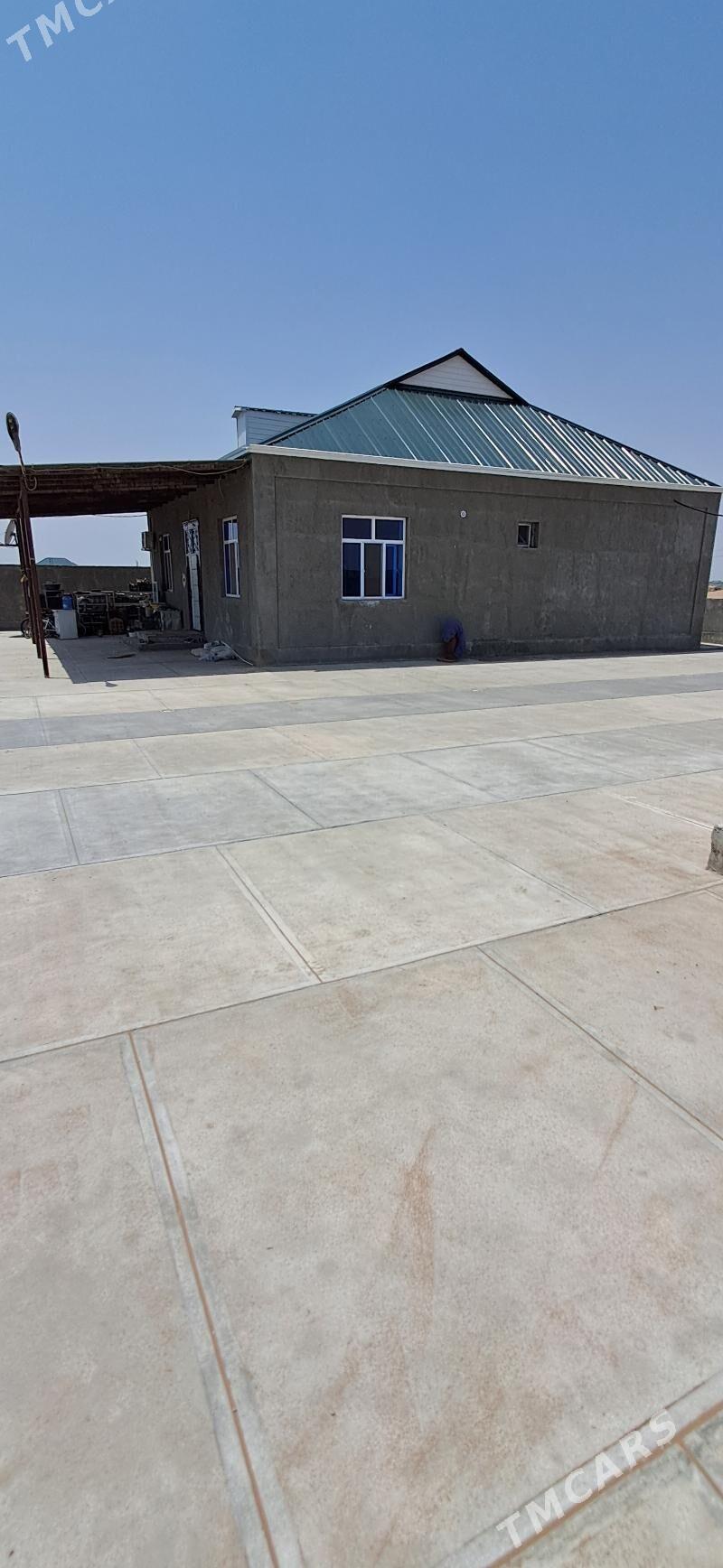 Öñally - Ak bugdaý etraby - img 4