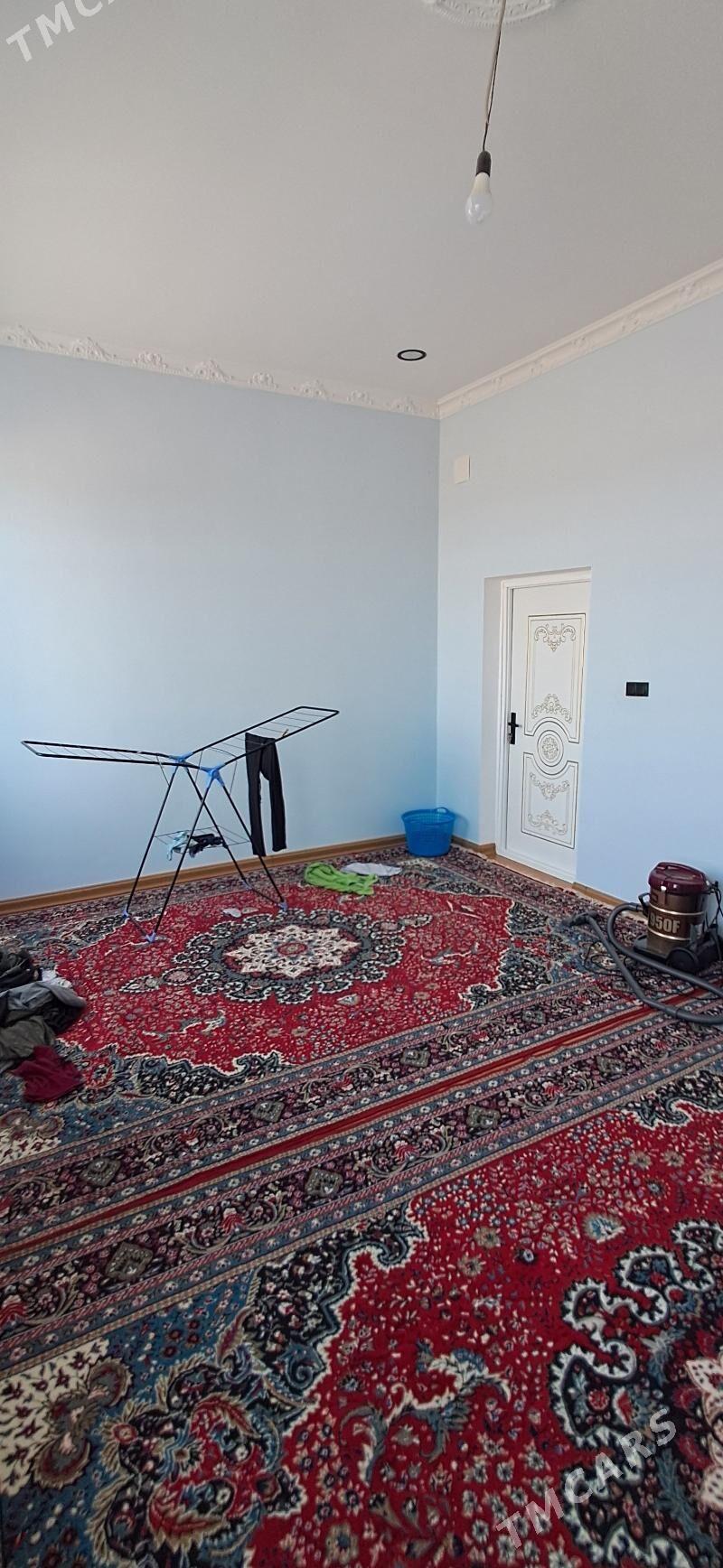 Öñally - Ak bugdaý etraby - img 8