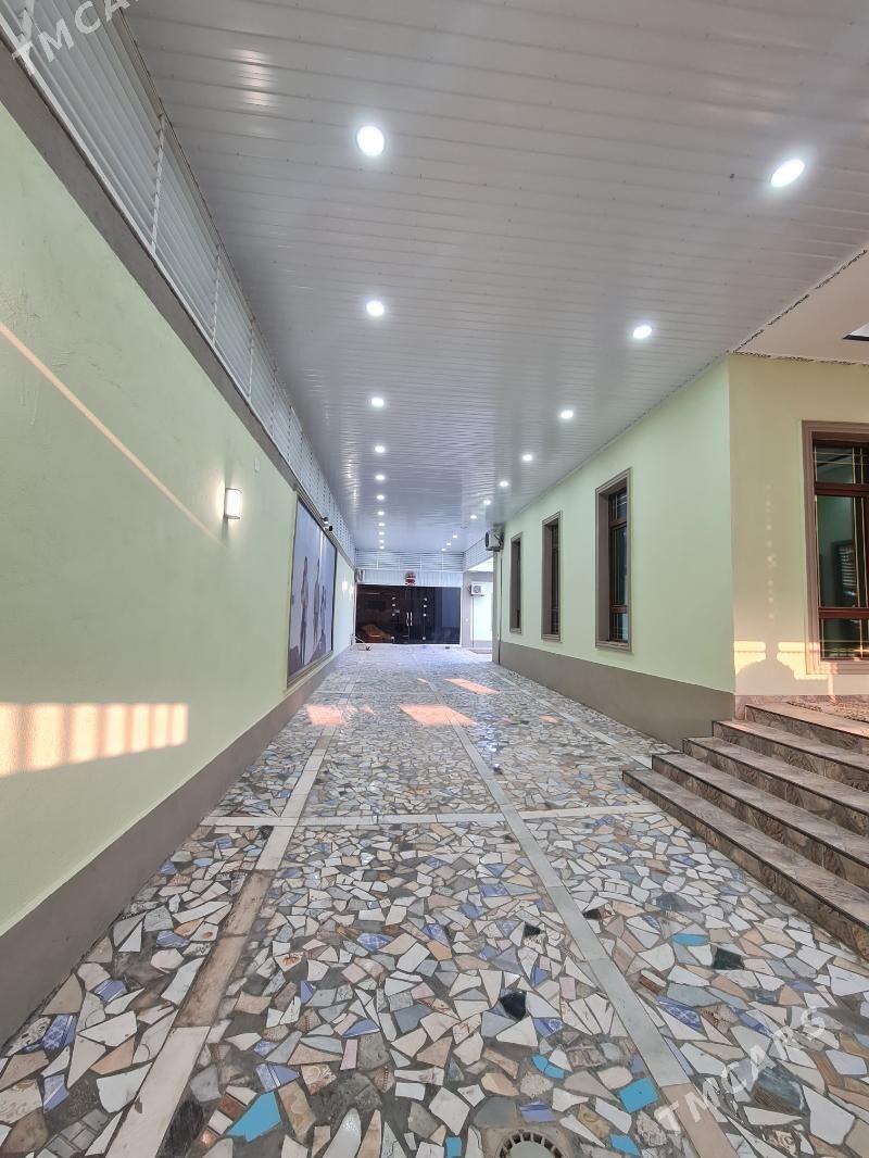 Çoganly katež - Чоганлы - img 2