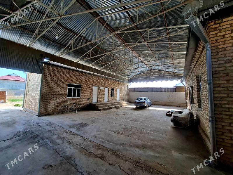 Şäherde Howly Jay - Mary - img 2