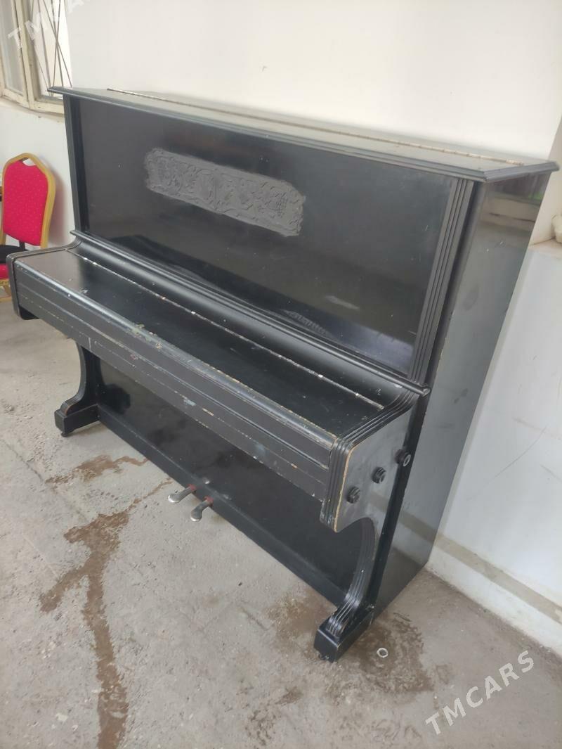 Pionina - 30 mkr - img 2