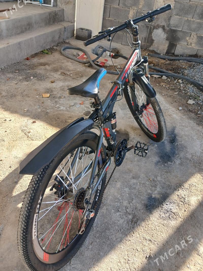 tigir - Garadamak - img 2