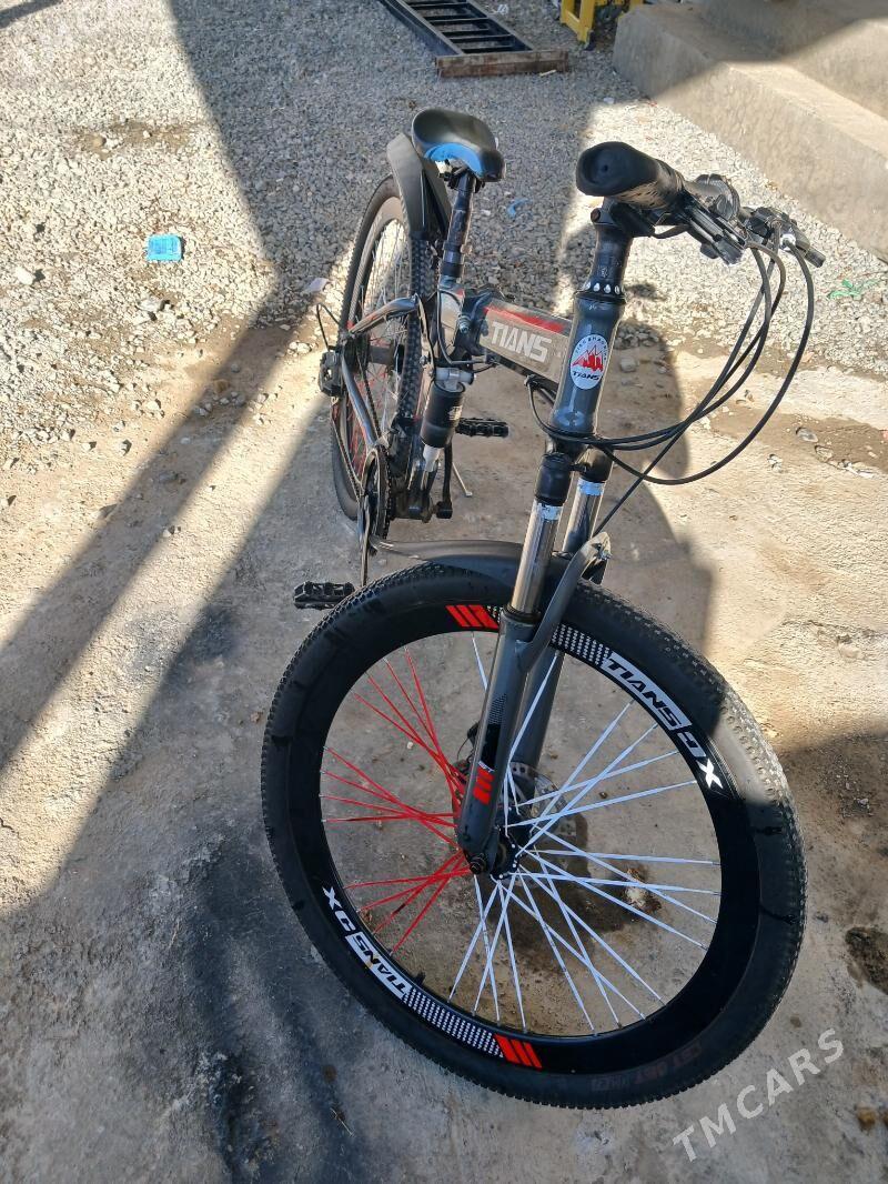 tigir - Garadamak - img 3