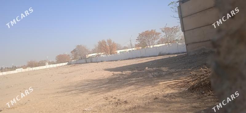 SATLYK YER - Ак-Бугдайский этрап - img 2