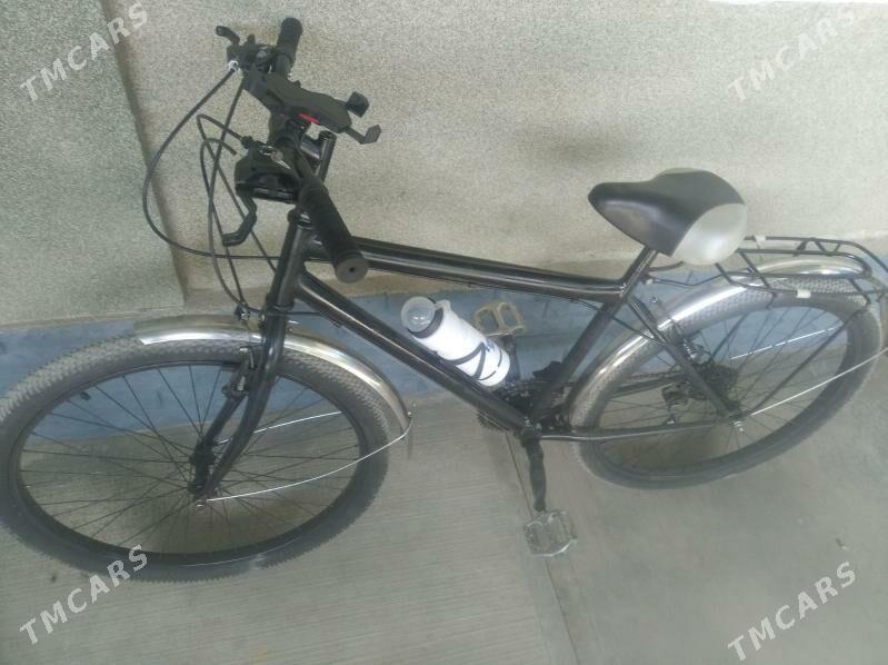 tigir 26 - Гёкдепе - img 3