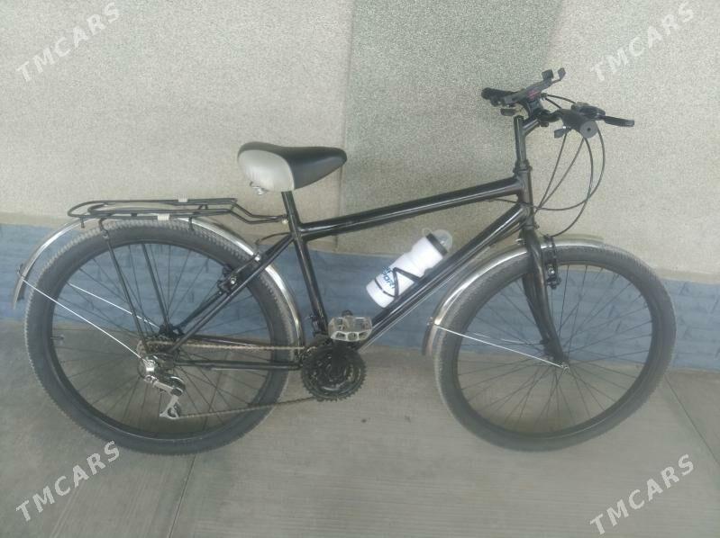 tigir 26 - Гёкдепе - img 2