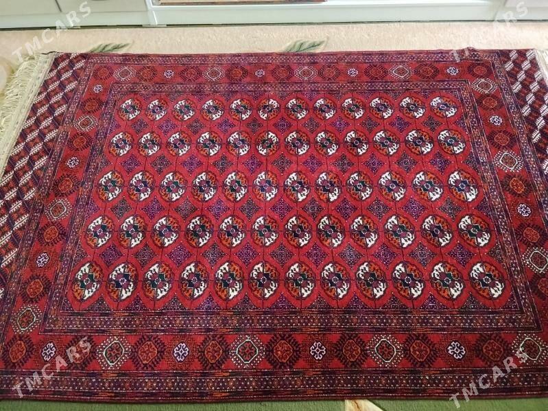 El haly - Кëши - img 2