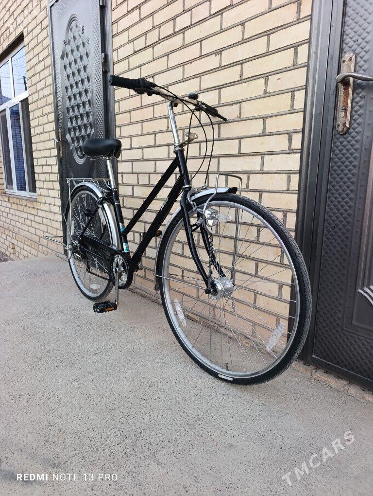 27 Tigir - Mary - img 3