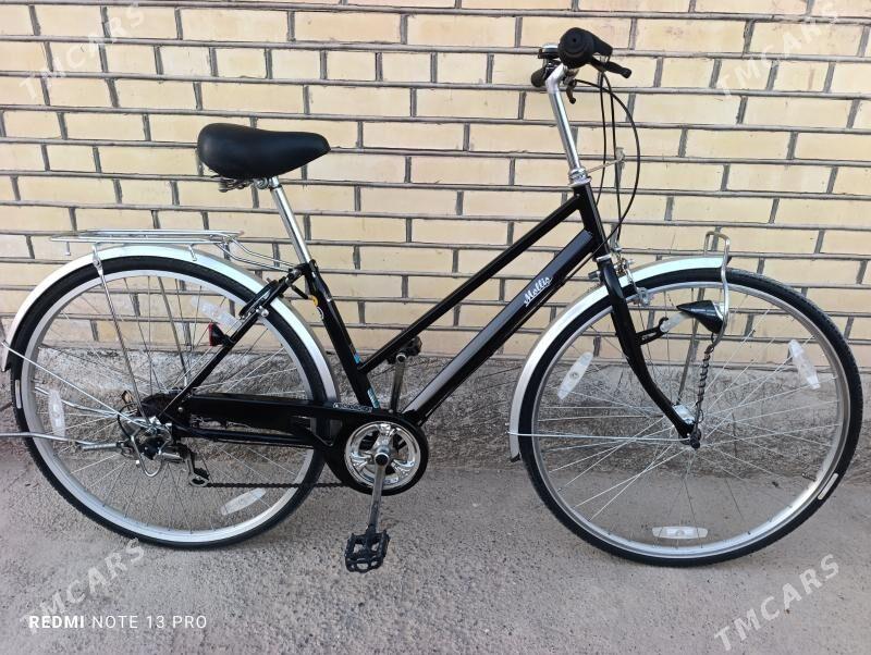 27 Tigir - Mary - img 2