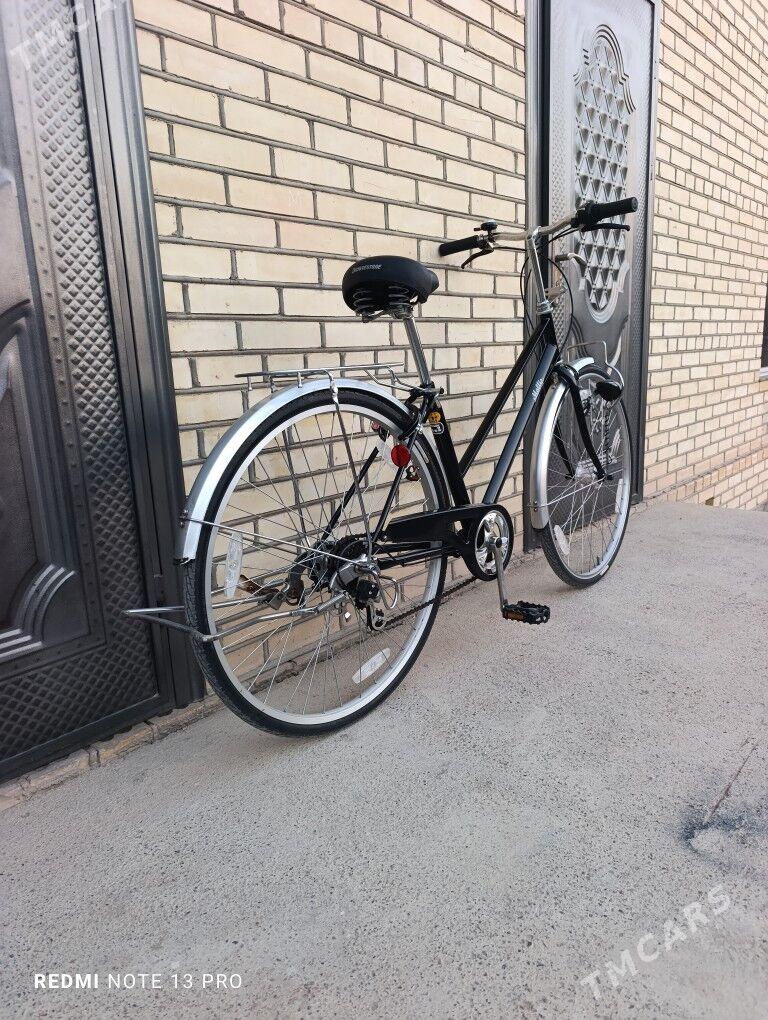 27 Tigir - Mary - img 4