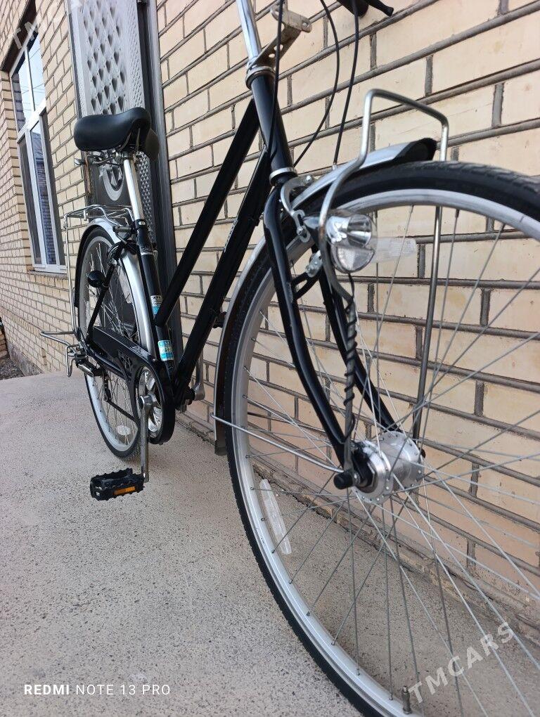 27 Tigir - Mary - img 5