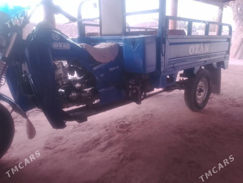 Ozan 200CC 2025 - 19 000 TMT - Kerki - img 3