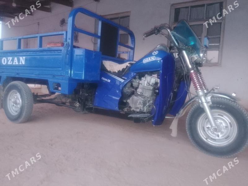 Ozan 200CC 2025 - 19 000 TMT - Kerki - img 2