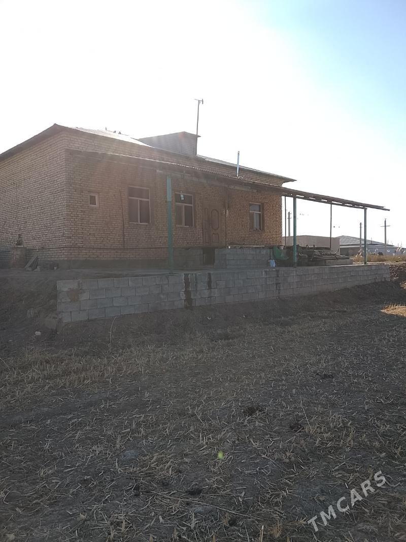 satlyk jaylar - Şabat etr. - img 5